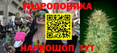 винт Гусь-Хрустальный