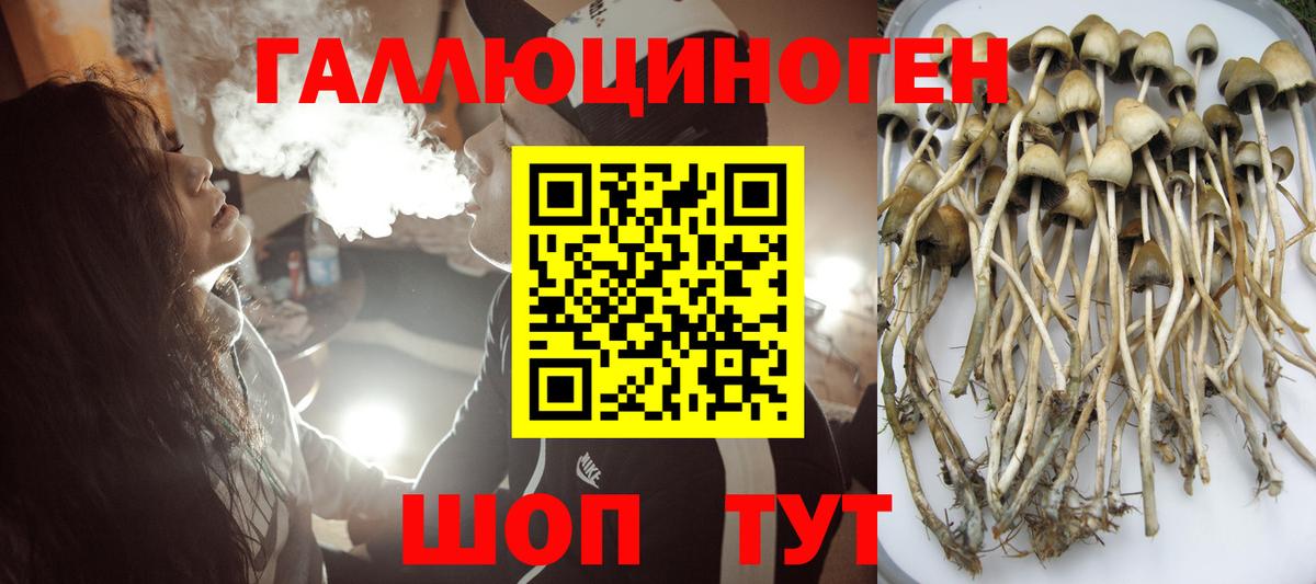 Псилоцибиновые грибы ЛСД Мегион